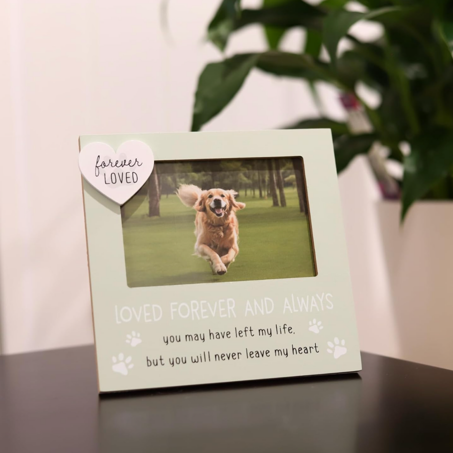 Pet Memorial Photo Frame - Dog or Cat Loss (4x6 Inch)