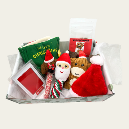 Christmas Paws Gift Box