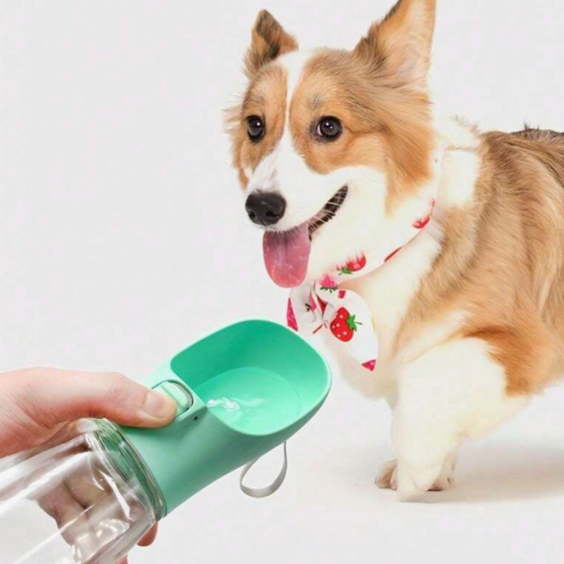 HydroPaws Portable Pet Water Bottle