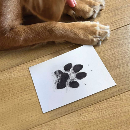 PawPrint Pro: Mess-Free Pet Memory Kit