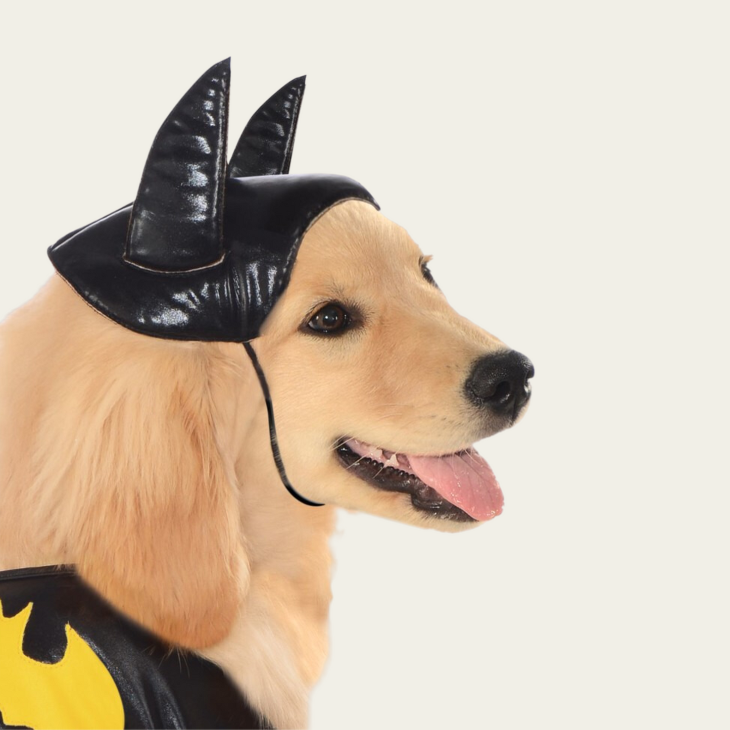 Batgirl Pet Costume