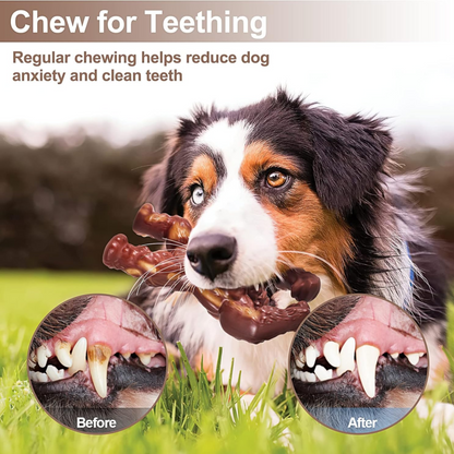 Indestructible Dog Toys for Aggressive Chewers – Extreme Tough Dog Bone