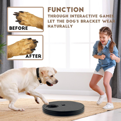 Dog Scratch Pad – Rotatable Nail Grinder & Treat Storage