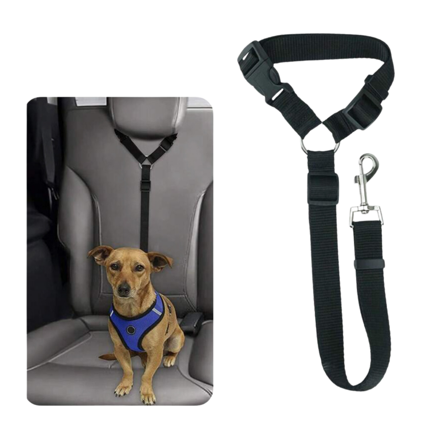 SecurePaws Pet Seatbelt