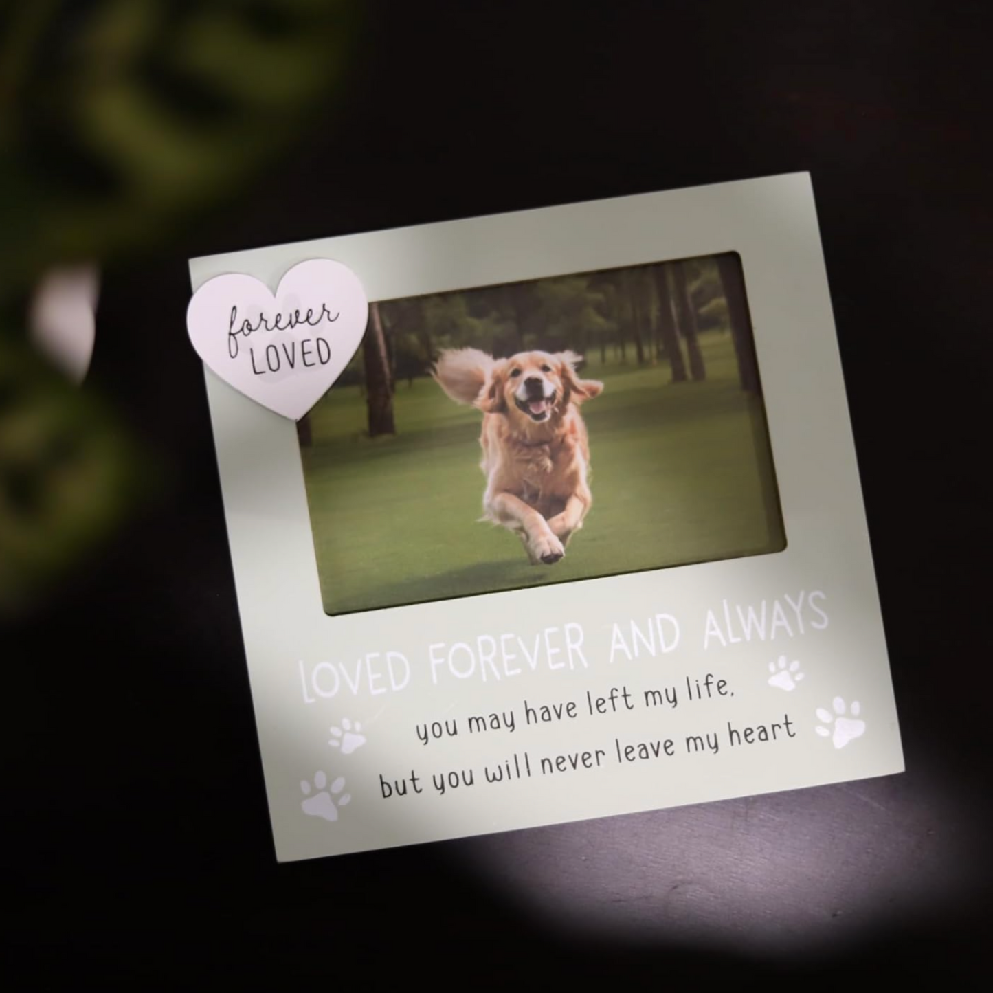 Pet Memorial Photo Frame - Dog or Cat Loss (4x6 Inch)