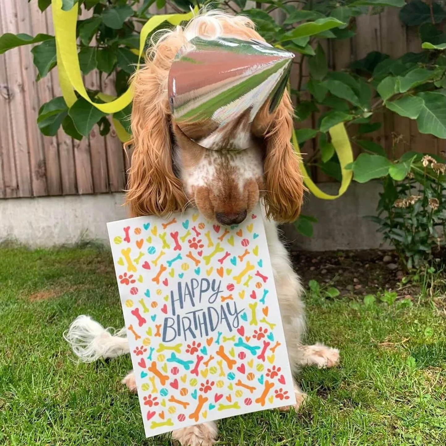 Edible Greeting Card - 'Happy Birthday Bones' - Dog Treat (Chicken Flavor)