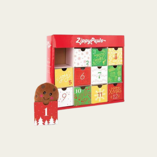 Christmas Holiday Advent Calendar for Dogs