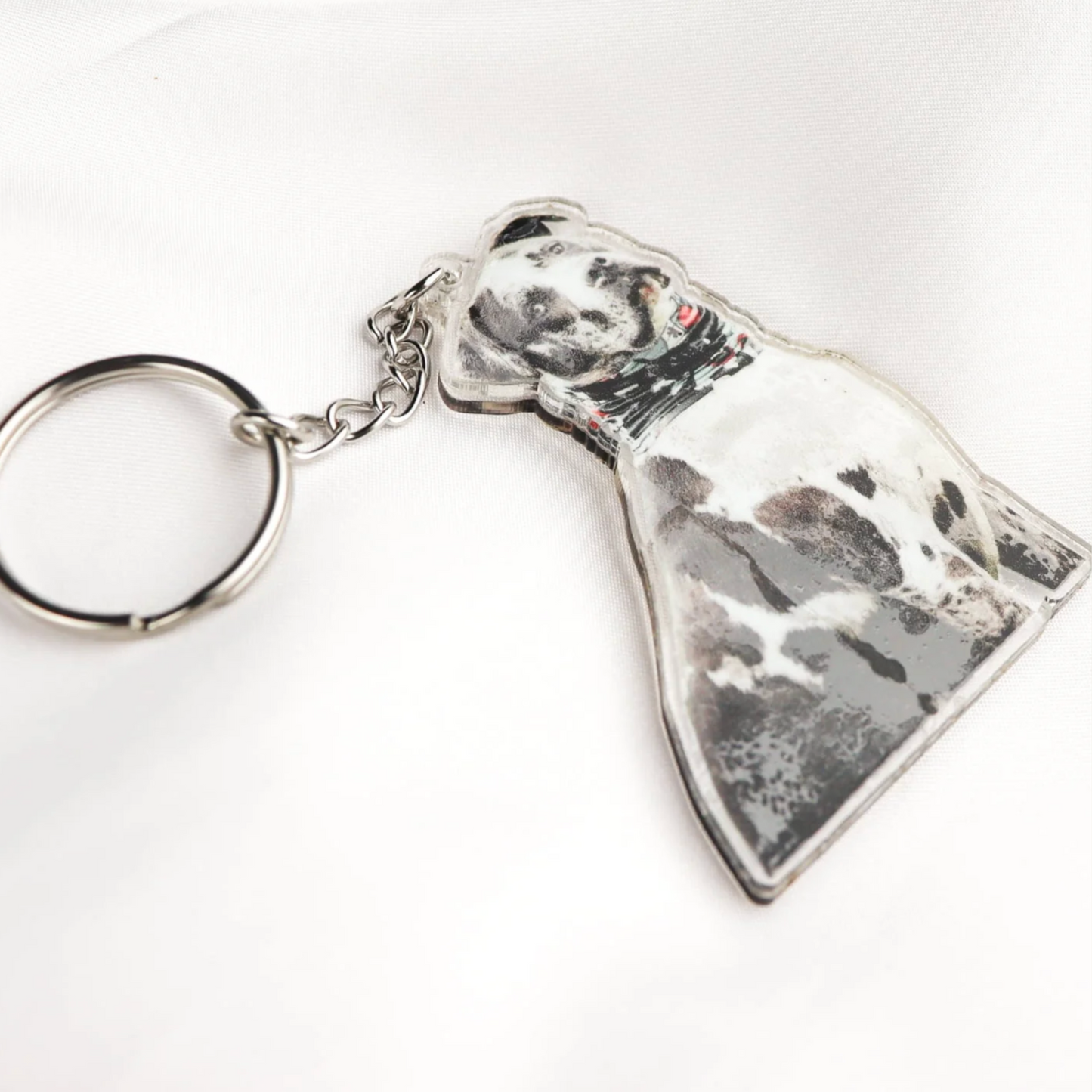 Custom Pet Photo Acrylic Keychain