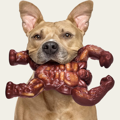 Indestructible Dog Toys for Aggressive Chewers – Extreme Tough Dog Bone