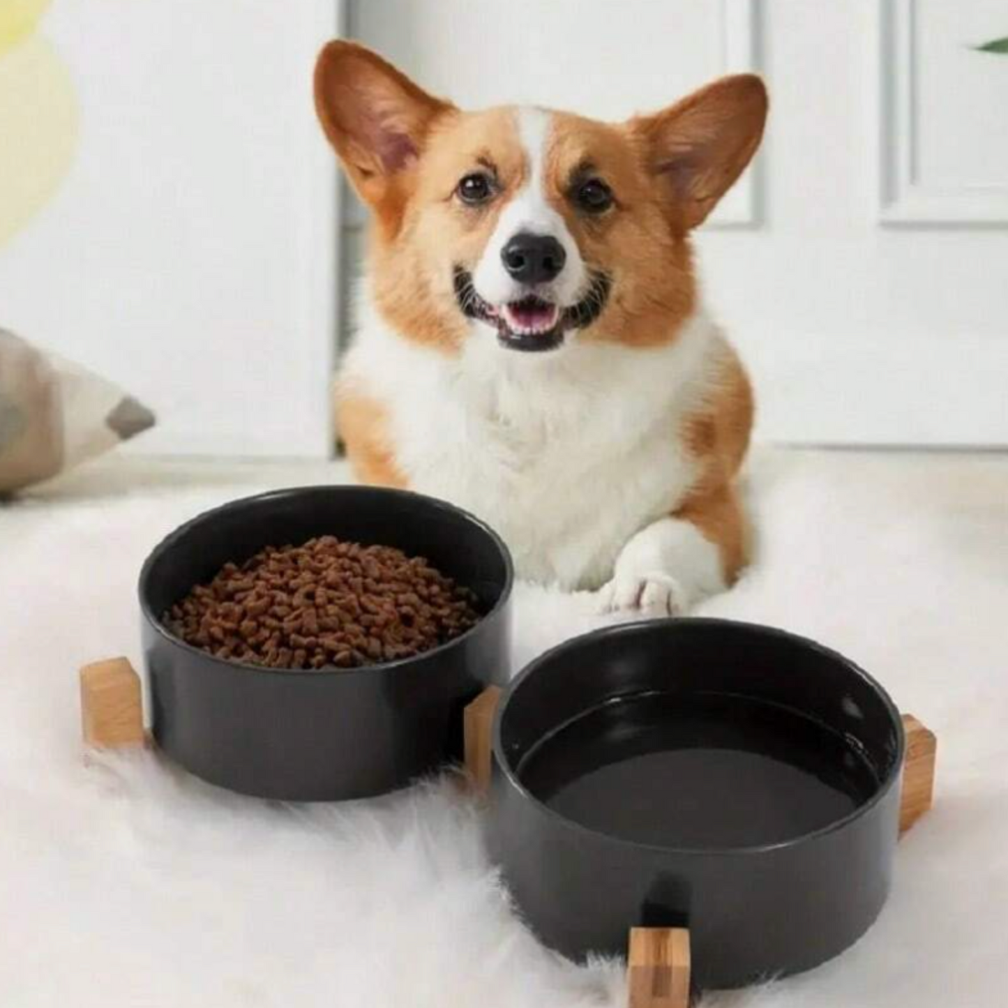 Non-Slip Ceramic Double Pet Food Bowl