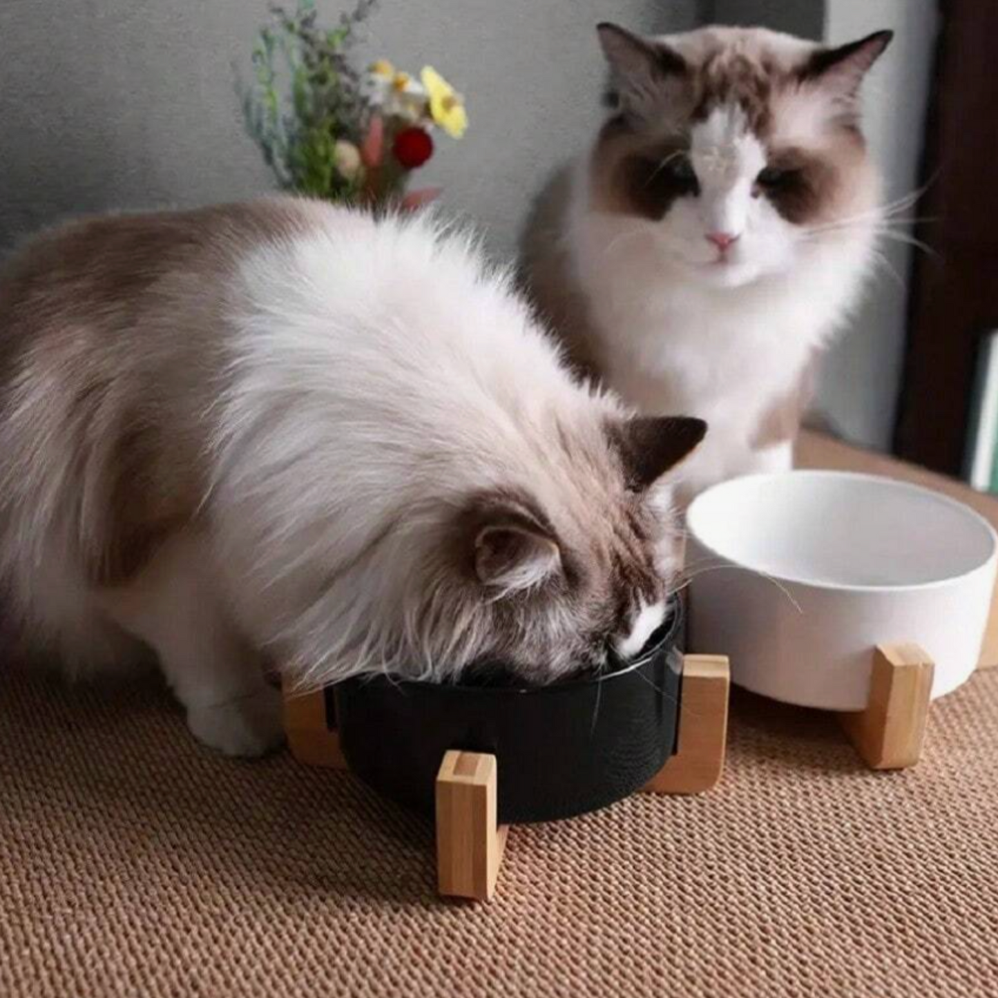 Non-Slip Ceramic Double Pet Food Bowl