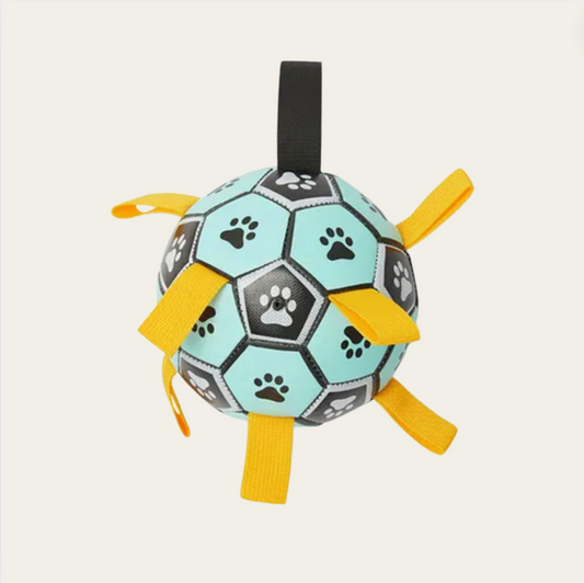 PlayPro Soccer Ball Dog Toy - Blue