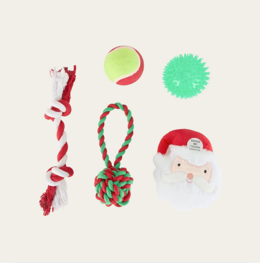 Dog Christmas Toy Stocking - 5 Pack