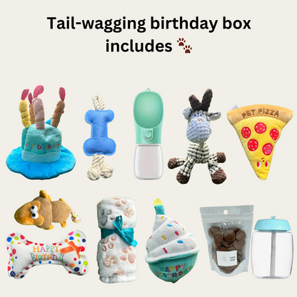 Tail-Wagging Birthday Surprise Box