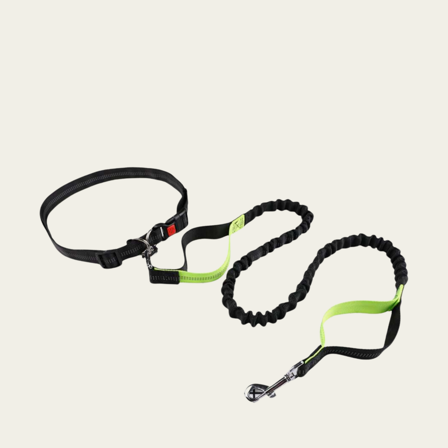 StridePaws Hands-Free Leash