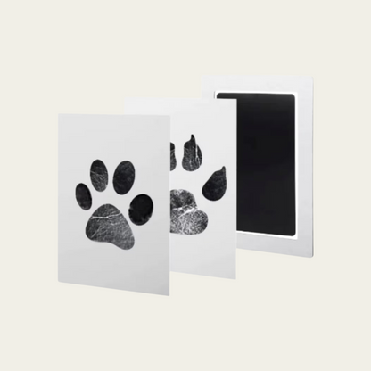 PawPrint Pro: Mess-Free Pet Memory Kit