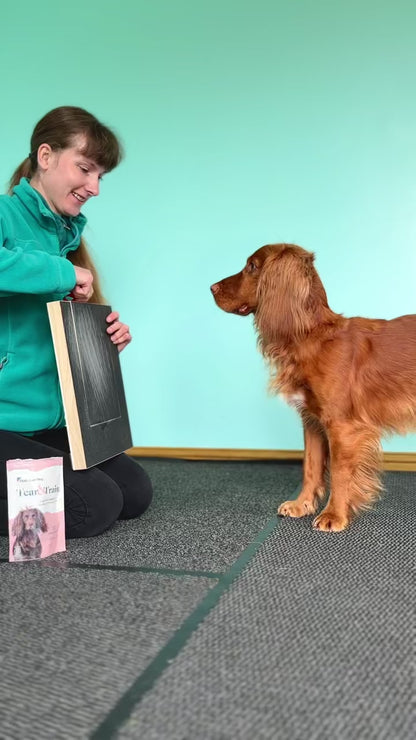 Dog Scratch Pad for Nails